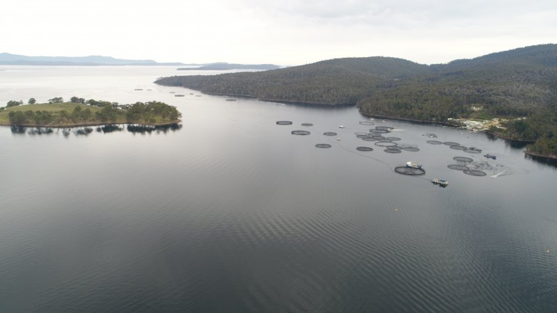 Drone flyover of offshore salmon farm