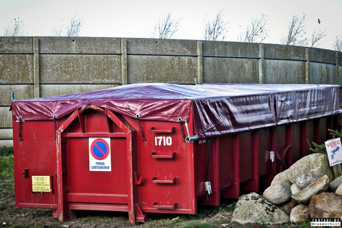 The cull of 18 million minks in Denmark