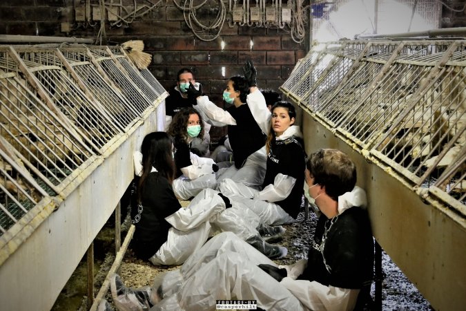 Foie Gras Farm, Belgium 2019.