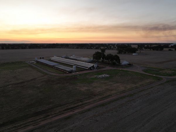 Drone flyover of piggery