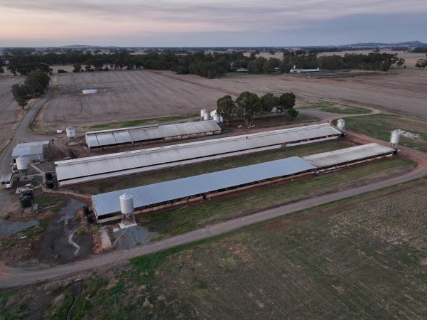 Drone flyover of piggery