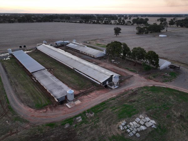 Drone flyover of piggery