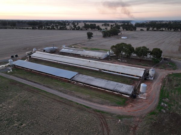 Drone flyover of piggery