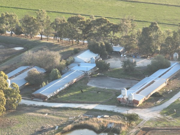 Drone flyover of piggery