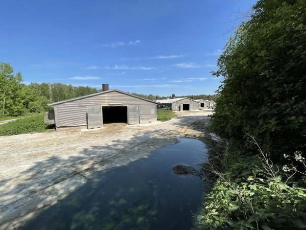 Broiler farm Biesenthal