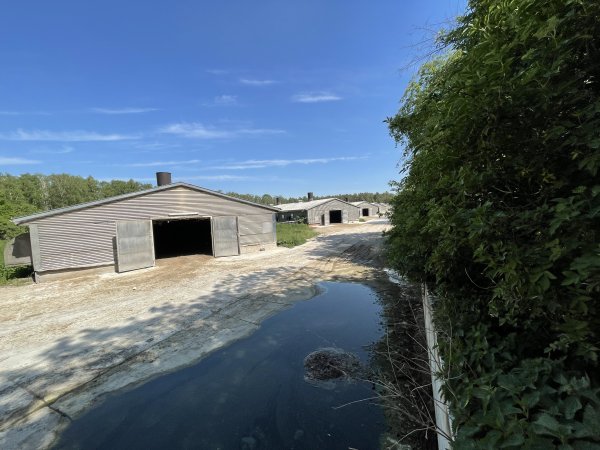 Broiler farm Biesenthal