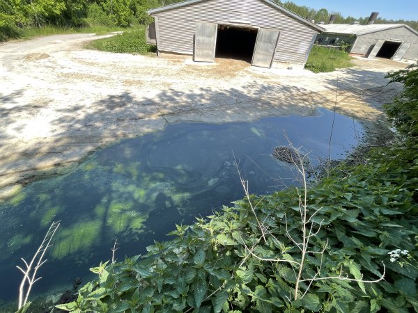 Broiler farm Wullwinkel