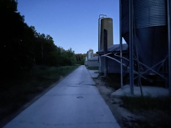 Broiler farm at night