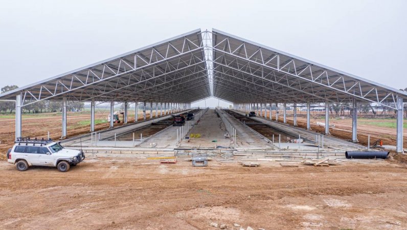 Intensive dairy shed being built