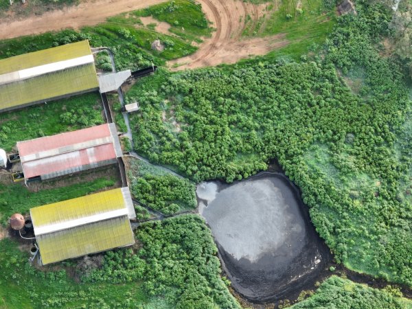 Drone flyover