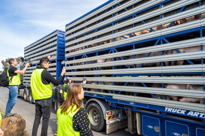 Truck arriving at Diamond Valley Pork