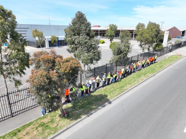 Melbourne Vegan Takeover (Vigil)