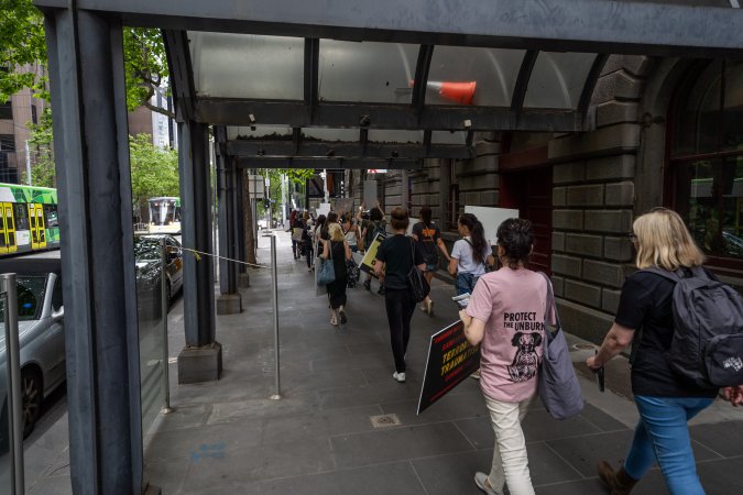 Activists protest the widespread use of cages for pigs