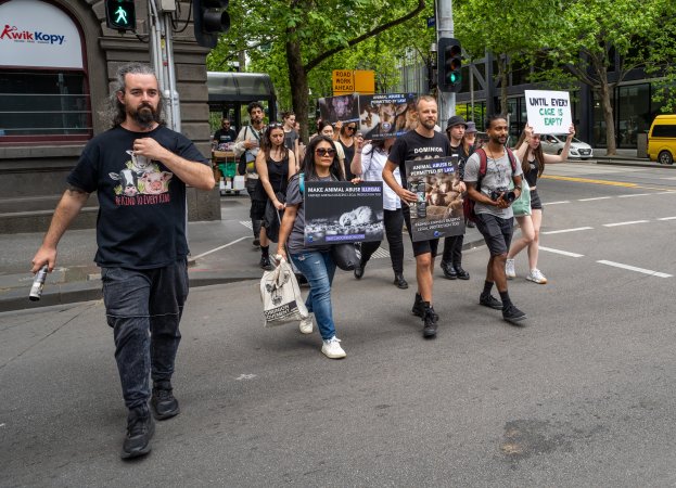 Activists protest the widespread use of cages for pigs