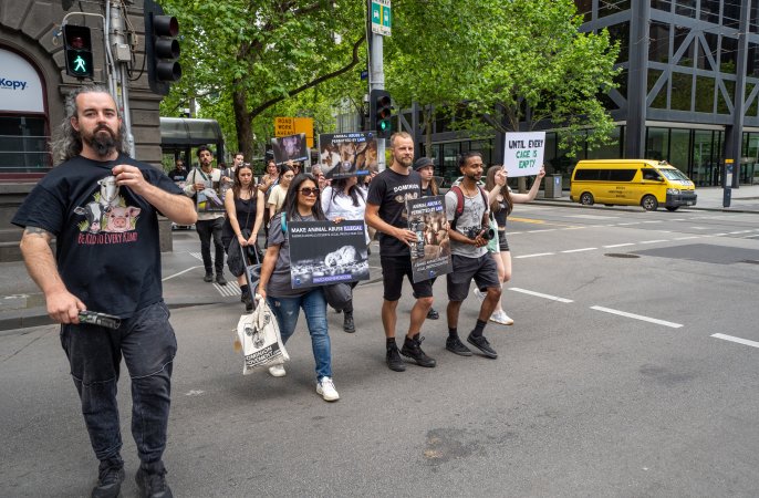 Activists protest the widespread use of cages for pigs