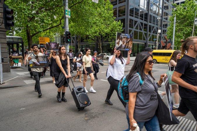 Activists protest the widespread use of cages for pigs