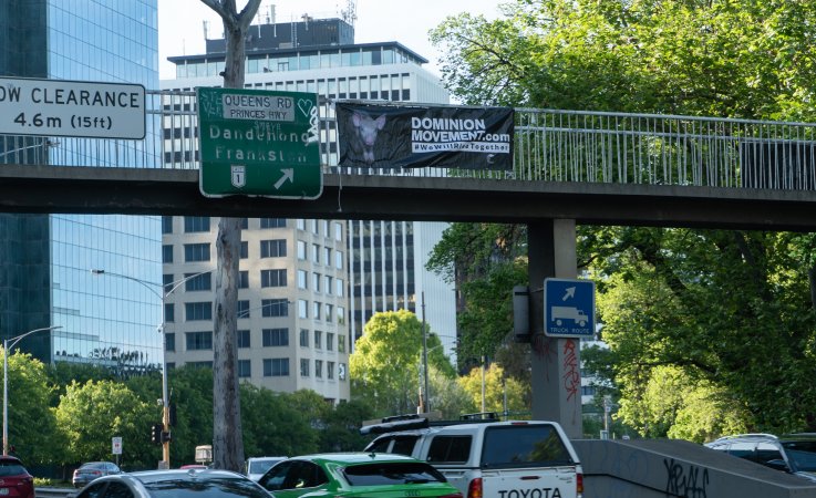 Dominion banners hanging over King's Way in Melbourne