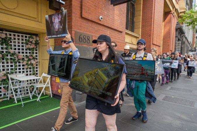 Activists protest the widespread use of cages for pigs