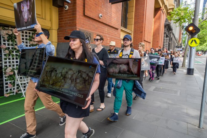 Activists protest the widespread use of cages for pigs