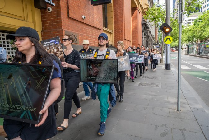 Activists protest the widespread use of cages for pigs