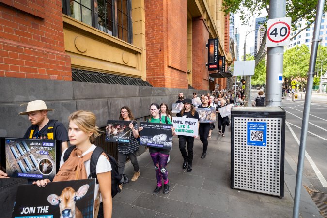 Activists protest the widespread use of cages for pigs