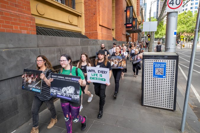 Activists protest the widespread use of cages for pigs