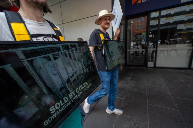 Activists protest the widespread use of cages for pigs