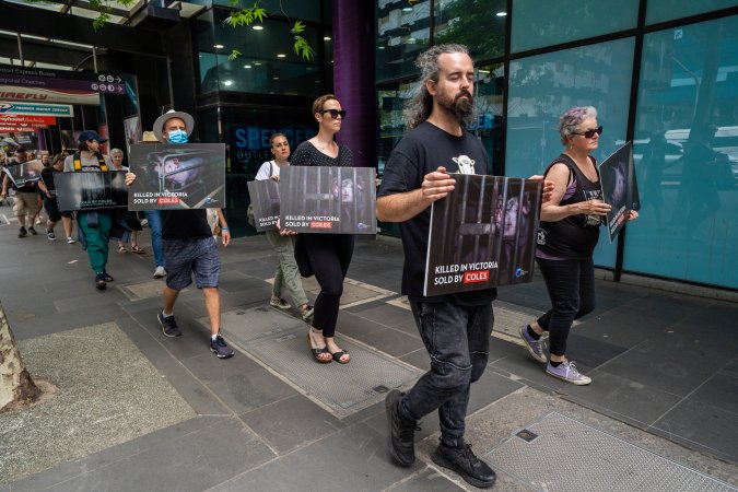 Activists protest the widespread use of cages for pigs