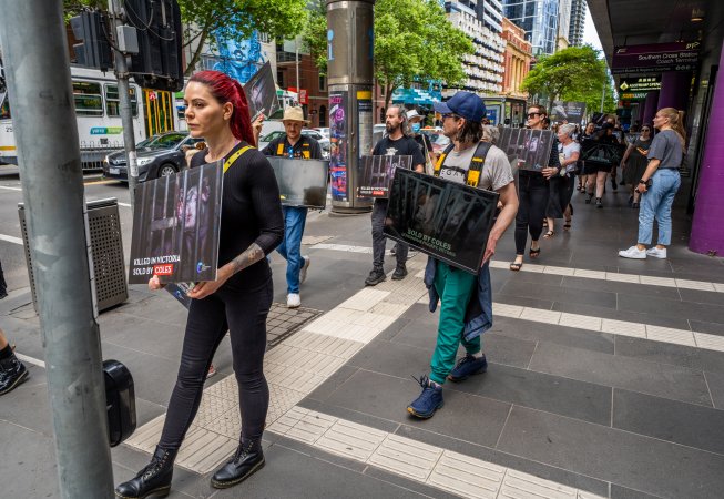 Activists protest the widespread use of cages for pigs