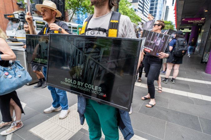 Activists protest the widespread use of cages for pigs