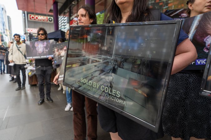 Activists protest the widespread use of cages for pigs