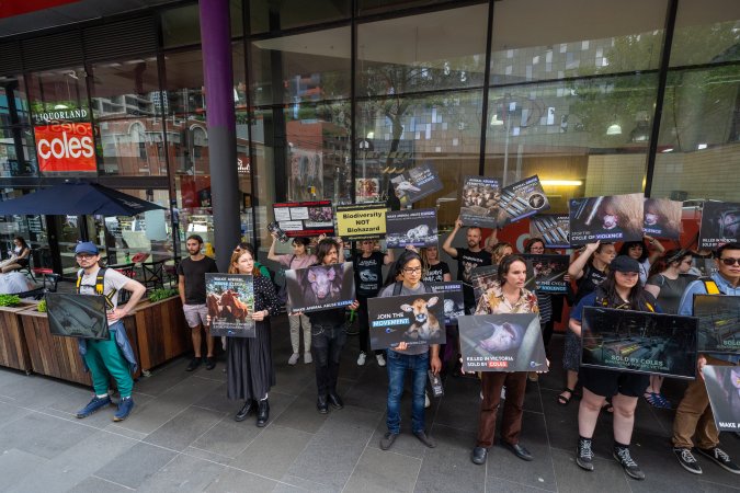 Activists protest the widespread use of cages for pigs