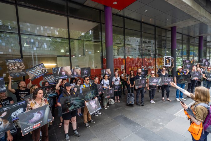 Activists protest the widespread use of cages for pigs