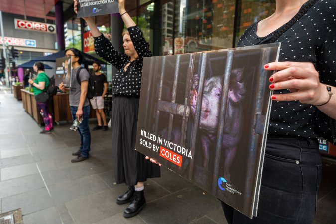 Activists protest the widespread use of cages for pigs