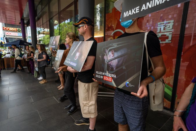 Activists protest the widespread use of cages for pigs