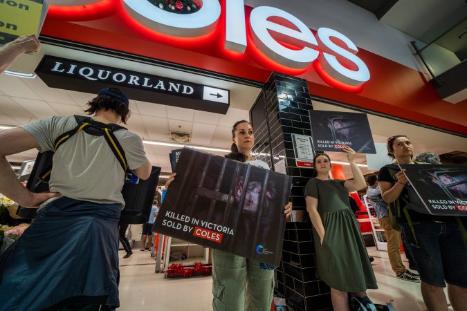 Activists protest the widespread use of cages for pigs