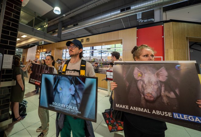 Activists protest the widespread use of cages for pigs