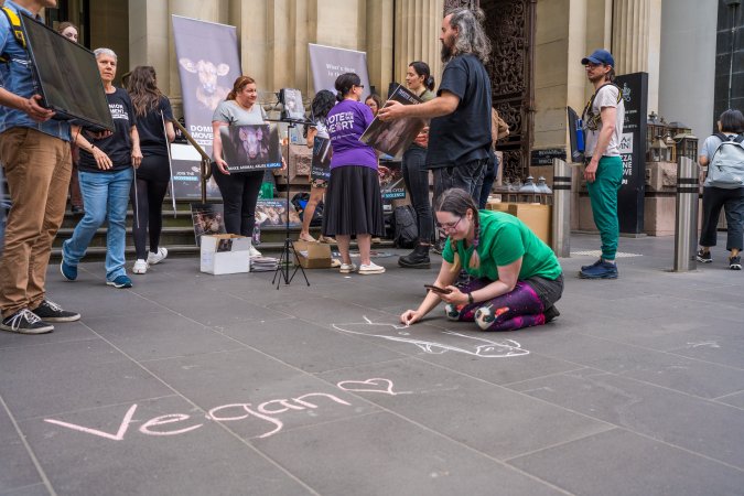 Animal Activists protesting at Bourke Street in Melbourne