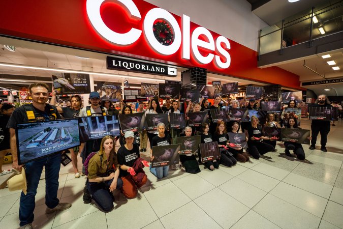 Activists protest the widespread use of cages for pigs