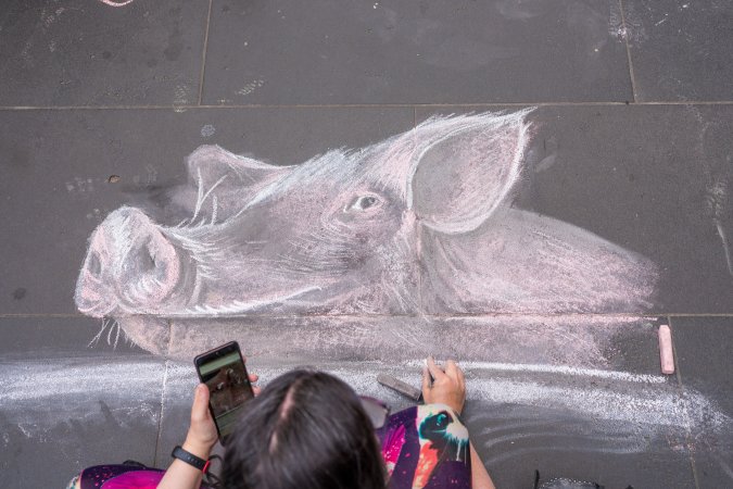 Animal Activists protesting at Bourke Street in Melbourne