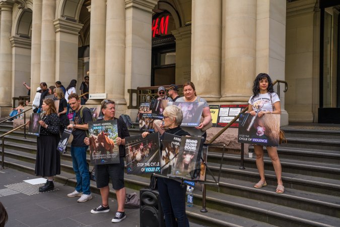 Animal Activists protesting at Bourke Street in Melbourne