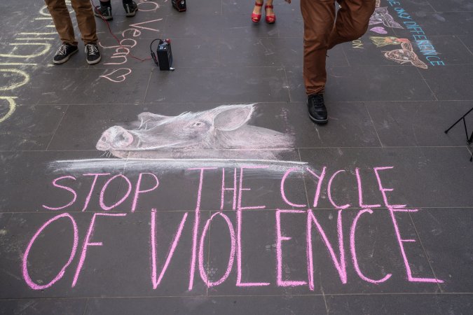 Animal Activists protesting at Bourke Street in Melbourne