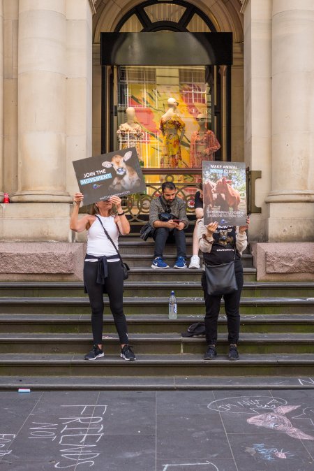 Animal Activists protesting at Bourke Street in Melbourne