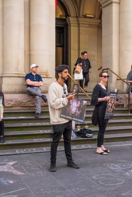 Animal Activists protesting at Bourke Street in Melbourne