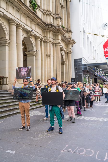 Animal Activists protesting at Bourke Street in Melbourne