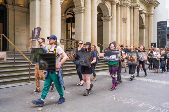 Animal Activists protesting at Bourke Street in Melbourne