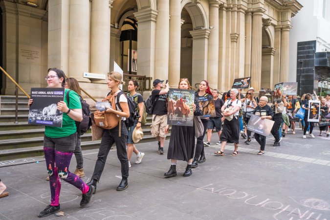 Animal Activists protesting at Bourke Street in Melbourne