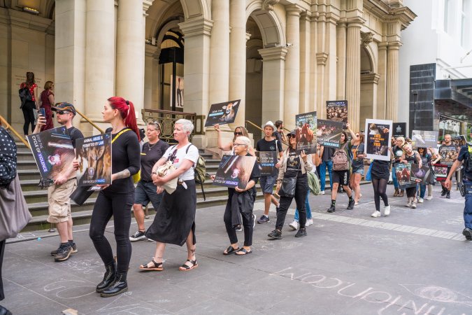 Animal Activists protesting at Bourke Street in Melbourne