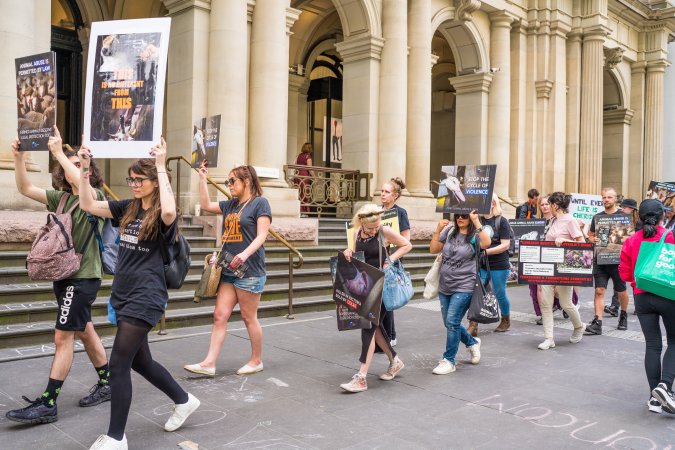 Animal Activists protesting at Bourke Street in Melbourne