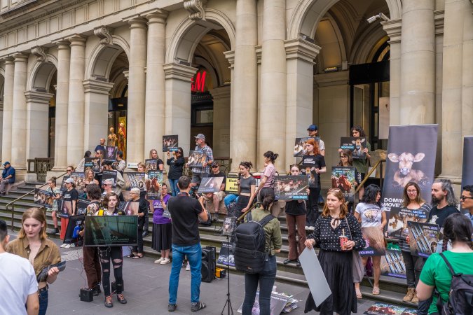 Animal Activists protesting at Bourke Street in Melbourne